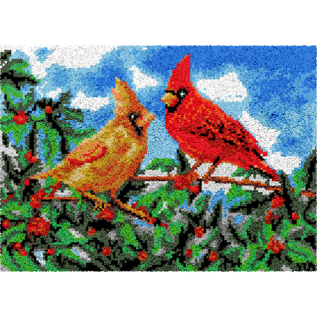 DIY Latch Hook Rugs Kits for Adults Beginners Kids Children with Pattern  Printed bird Canvas Rug Crochet Patterns Yarn - AliExpress